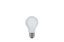 General bulb shock-proof, 100 W E27, matt 230 V