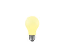 40052 Лампа накаливания 230V 40W E27 Универсал (D-60mm, H-105mm) мягкий желтый The general lamp in the original shape of electrical lighting. 400.52 Paulmann
