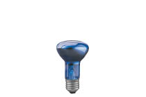 50260 Лампа R63 рефлект. для растений, синяя, E27-35 60W Reflector lamps for directed light in spotlights, spots and downlights 502.60 Paulmann