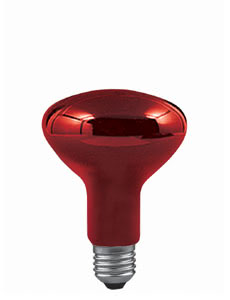 82967 Лампа инфракрасная 150W E27 95mm Rot Infrared lamp Everyone of us needs extra light when ill - and with infrared light, we get healthy even faster. For example: Most muscle tenseness responds well to the warming effect of infrared light. Also suitable for use in terrariums. 829.67 Paulmann