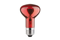 Light bulb, reflector R63, 40W E27 230V Infrared