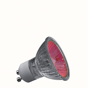83645 Лампа Truecolor 50W GU10 230V 51mm, красный 836.45 Paulmann